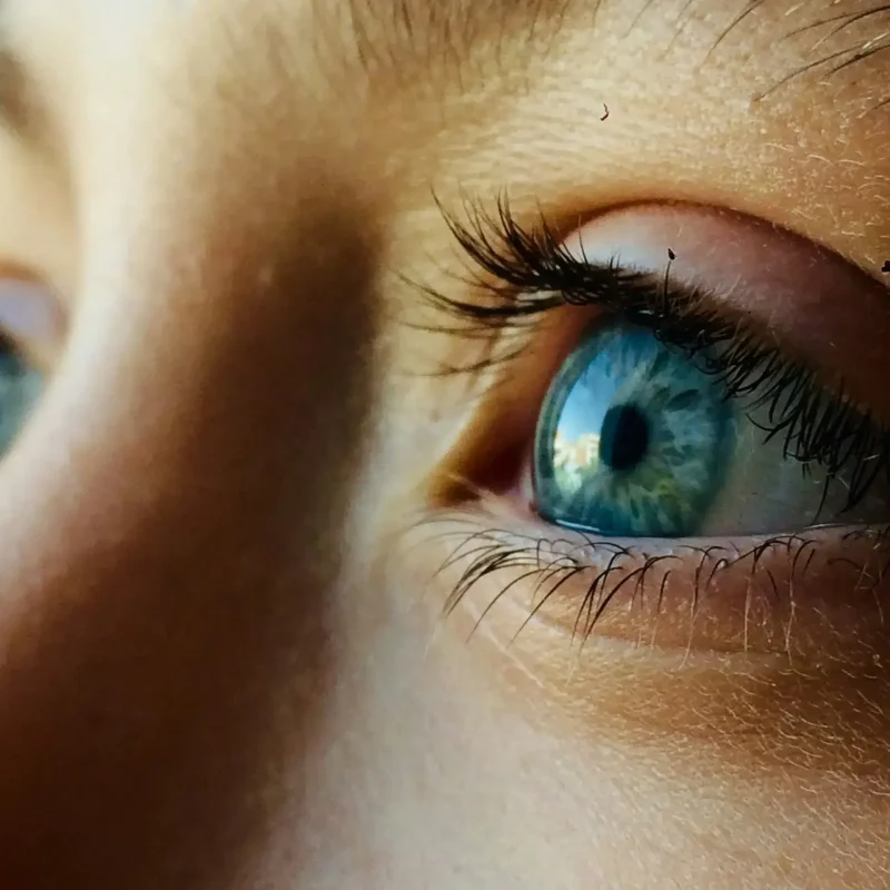 betul-QgUs9t2E3qg-unsplash