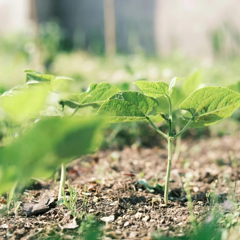 seiya-maeda-pAK3HEY9Nuw-unsplash